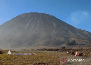 TNBTS tetapkan 3.752 kuota wisatawan Bromo saat libur akhir tahun