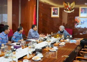 Ombudsman dan KemenPANRB bahas kolaborasi pengawasan pelayanan publik