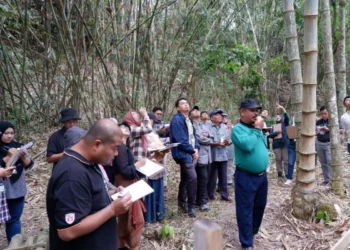 Peserta tiga negara belajar pengolahan bambu di Hutan Bambu Bulaksalak