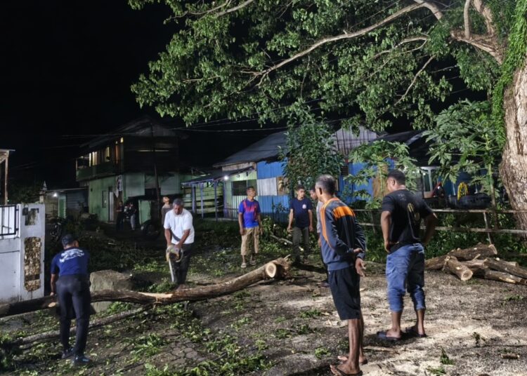 Petugas Damkar dan Penyelamatan SBT bersama masyarakat melakukan evakuasi pohon tumbang di jalan A. R. Unawekla Kota Bula. (Dok : Damkar SBT)