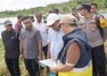 Bupati Malteng Tinjau Lokasi Pembangunan Pelabuhan Ferry di Seram Utara