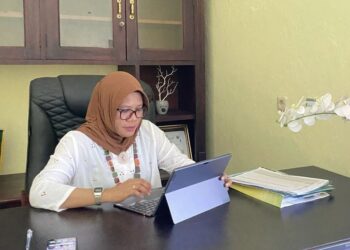 Dinkes SBT Buka Suara, Ternyata Distribusi Obat ke Puskesmas Sesuai Prosedur, tidak Ada Nepotisme