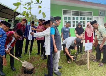 Kemenag SBT Gaungkan Program Ekoteologi Lewat Penanaman Pohon di Halaman Madrasah