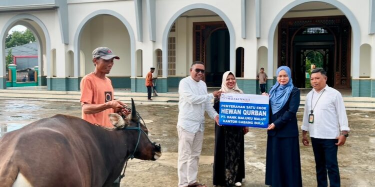 Bank Maluku-Maluku Utara Cabang Bula Salurkan Dua Ekor Hewan Qurban