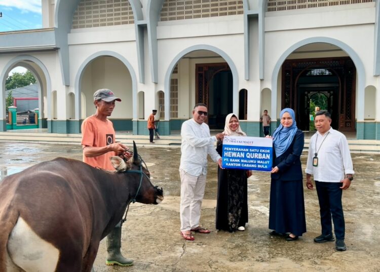 Kepala Bank Maluku-Malut Kantor Cabang Bula Fatimah menyerahkan satu ekor hewan qurban kepada Ketua dan Bendahara Badan Pengelola Masjid Raya Al-Ikhwan Bula (Dok : Pribadi)