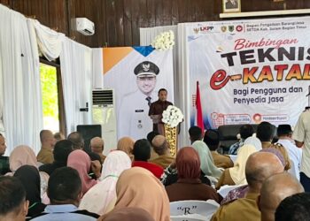 Pelaku Usaha di SBT Diberikan Kesempatan yang Luas Pasarkan Produk Melalui e-Katalog