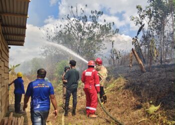 Karhutla Berlangsung Sejak Tiga Hari Lalu di Bula, Damkar SBT Sigap Lakukan Pemadaman