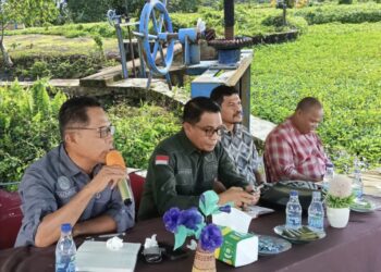 Krisis Air Hambat Musim Tanam di Jakarta Baru, Risman Sibualamo Dorong Perbaikan Embung