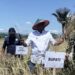 Penen Perdana di Aki Jaya, Bupati SBT Harap Bula Barat Terus jadi Sentra Produksi Padi Andal