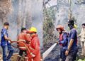 Karhutla Masih Terjadi di SBT, Petugas Damkar Kerja tanpa Jedah
