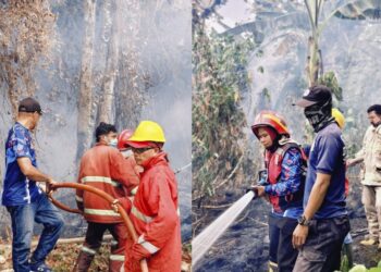 Karhutla Masih Terjadi di SBT, Petugas Damkar Kerja tanpa Jedah