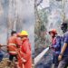 Karhutla Masih Terjadi di SBT, Petugas Damkar Kerja tanpa Jedah