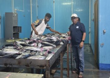 Tujuh Tahun Mangkrak, Cold Storage Sesar Kembali Beroperasi di Era Fachri-Miftah