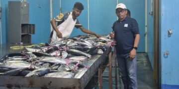 Tujuh Tahun Mangkrak, Cold Storage Sesar Kembali Beroperasi di Era Fachri-Miftah