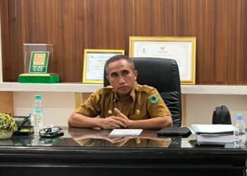 Kantongi Sejumlah Pertek Jabatan dari BKN, Pemkab SBT Masih Perbaikan 81 Data Anomali