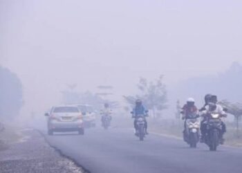 Kabut Asap Selimuti Langit Maluku, BMKG Temukan 50 Titik Panas di Sejumlah Wilayah